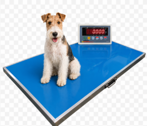 動物平台秤